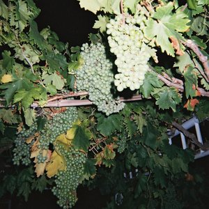 艾莲爆乳18禁🔞漫画
