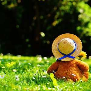 艾莲爆乳18禁🔞漫画
